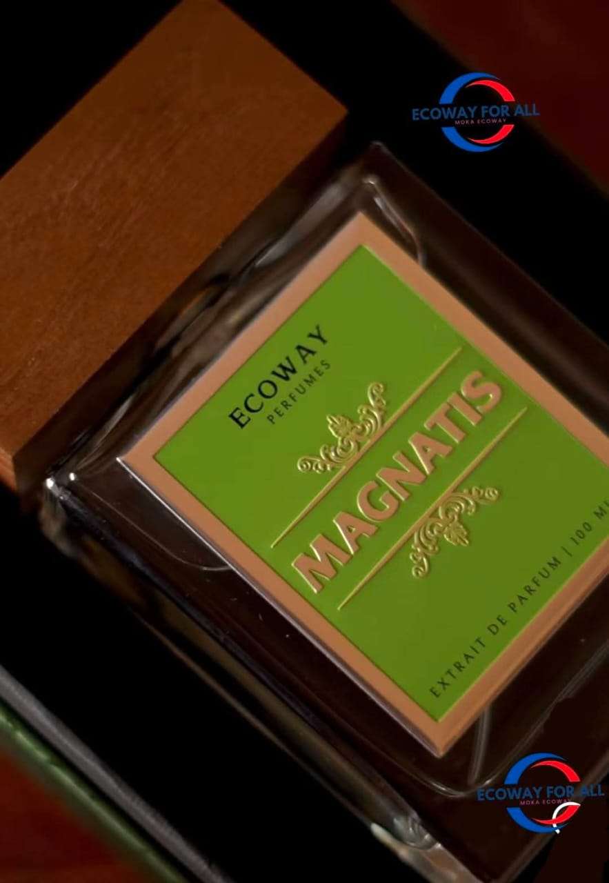 MAGNATIS perfume for men