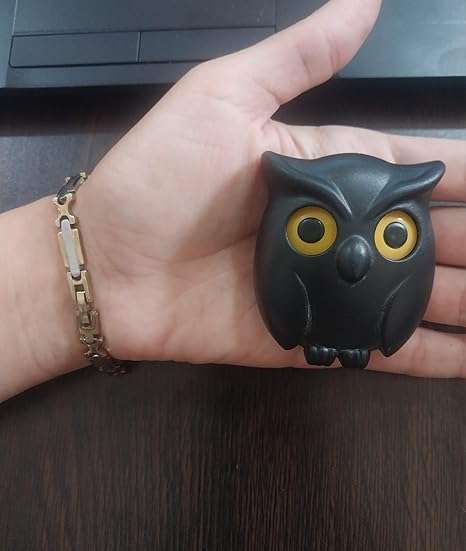 خطاف مفاتيح على شكل بومة - لون أسود 5 سم × 6 سم-B0G2MDQ8F3