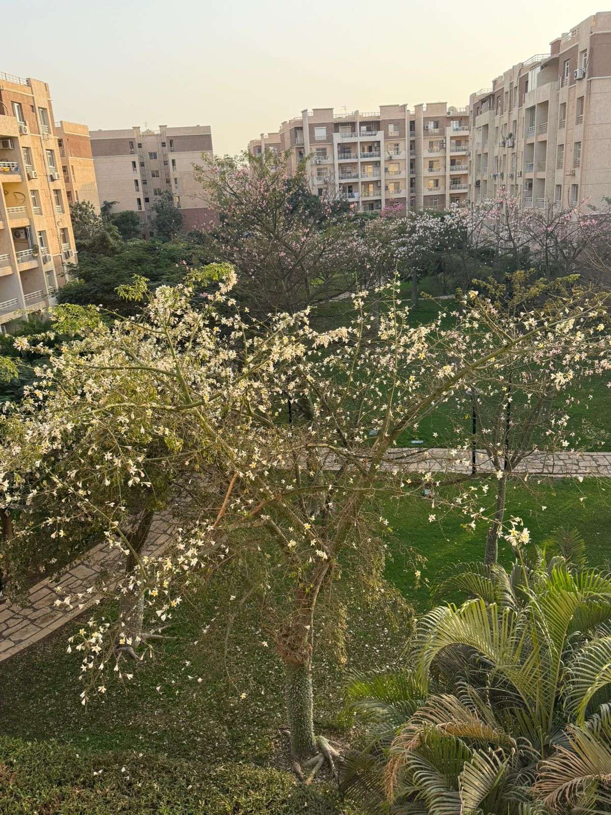 شقه للبيع بمدينتي