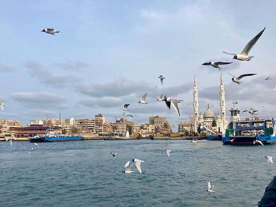رحلة اليوم الواحد إلى بورسعيد و بورفؤاد عرض خاص جدا