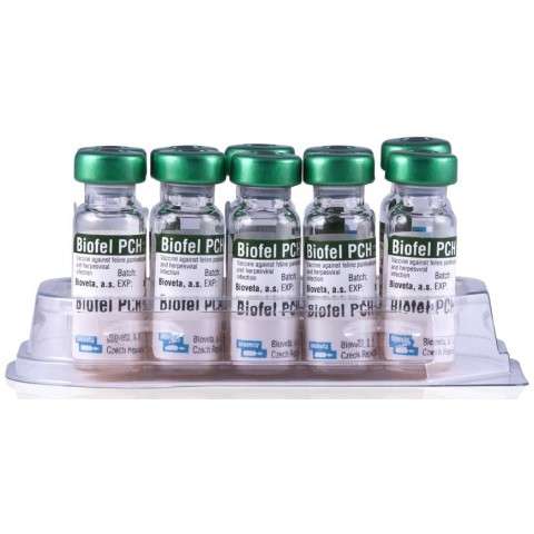 BIOFEL PCH Bioveta | سيزما