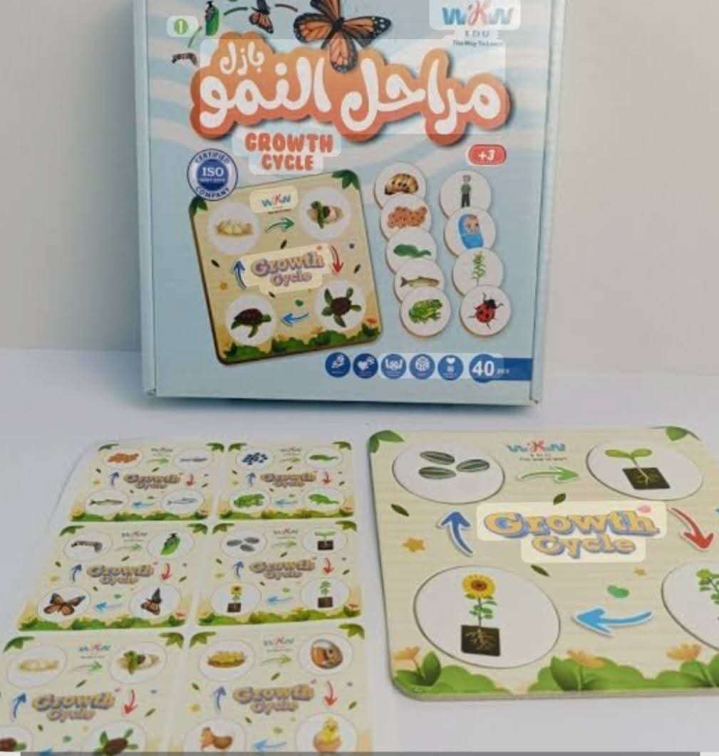 مراحل النمو