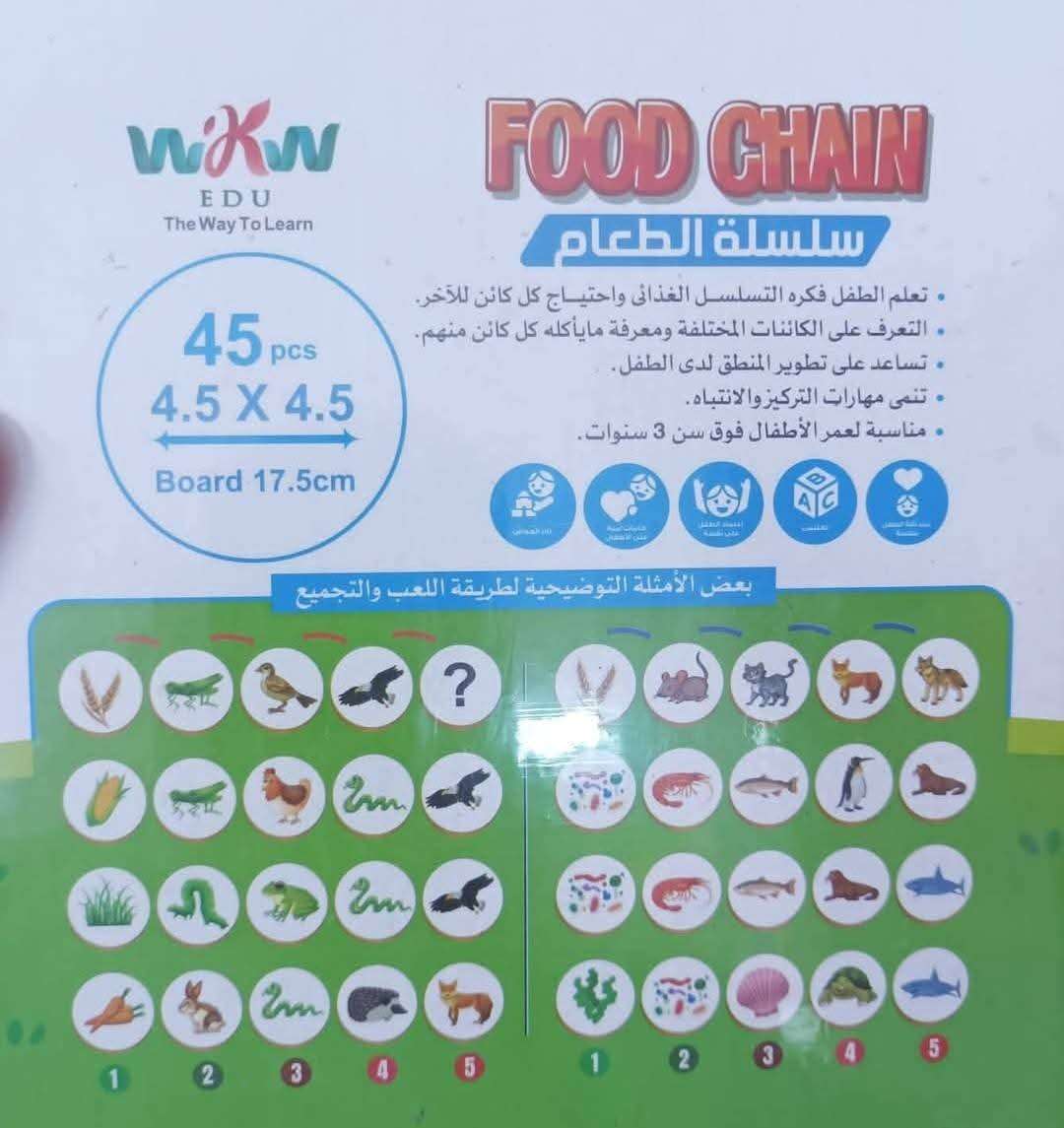سلسلة الغذاء