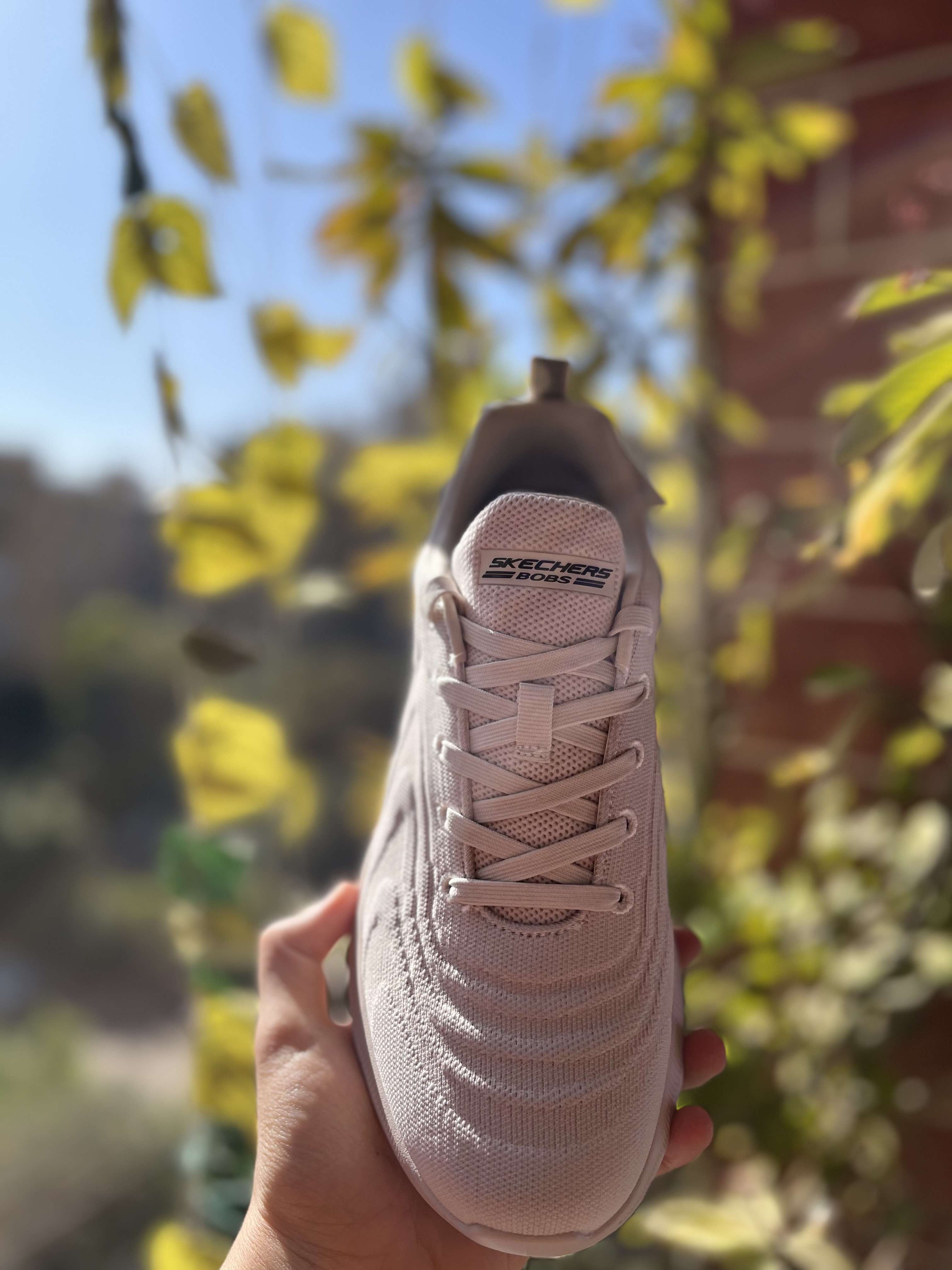 shoes Skechers original