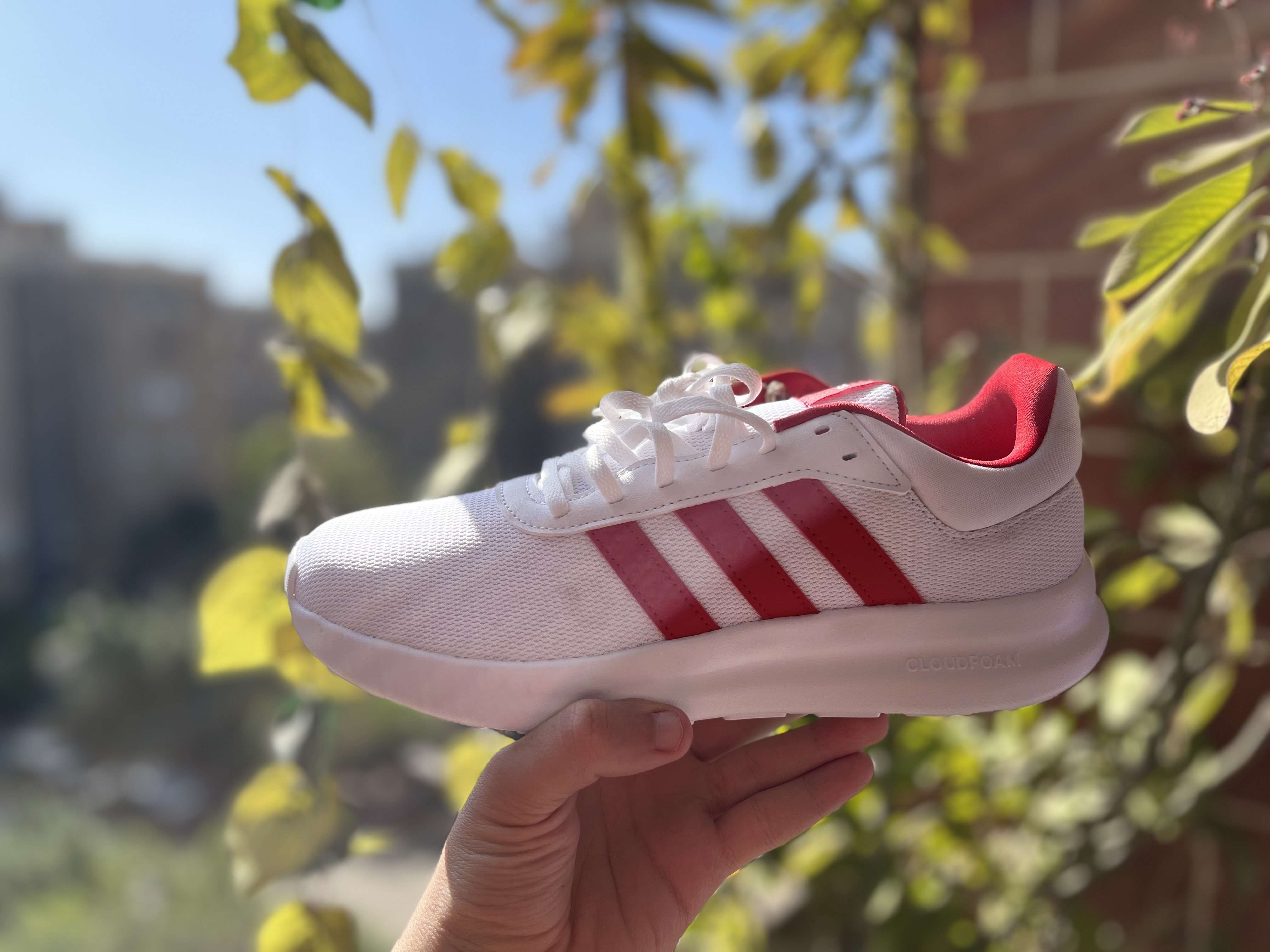 shoes adidas original
