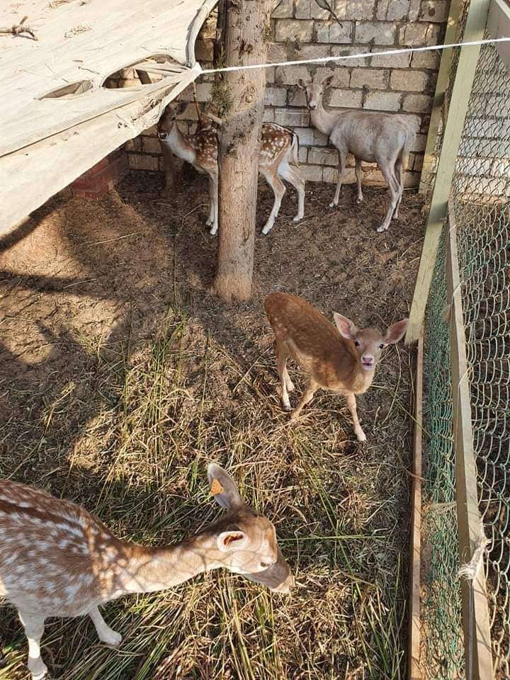 رحلة اليوم الواحد إلى واحة العزوة بالريف الاوروبى