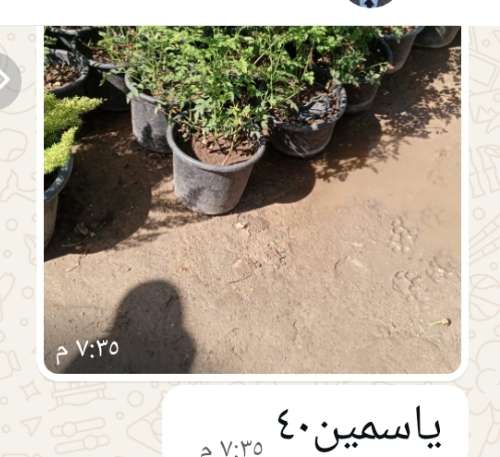 تربه زراعية وكومبوست التصنيع بالمزرعة  ت ٠١١٥٦١٢٨٨٦٧