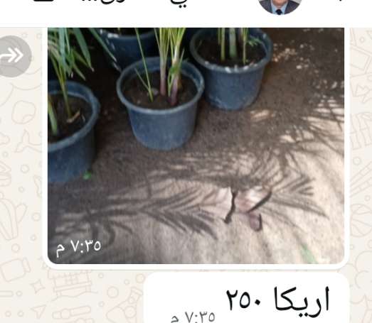 تربه زراعية وكومبوست التصنيع بالمزرعة  ت ٠١١٥٦١٢٨٨٦٧