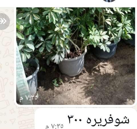 تربه زراعية وكومبوست التصنيع بالمزرعة  ت ٠١١٥٦١٢٨٨٦٧