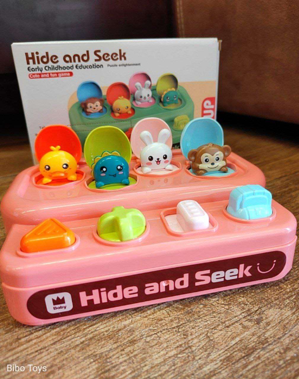 Hide and Seek