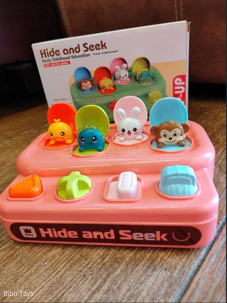 Hide and Seek
