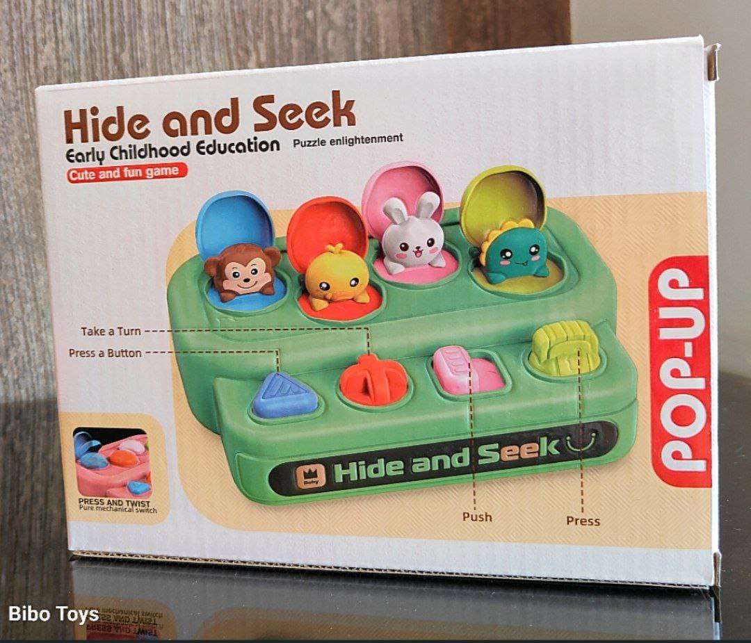 Hide and Seek