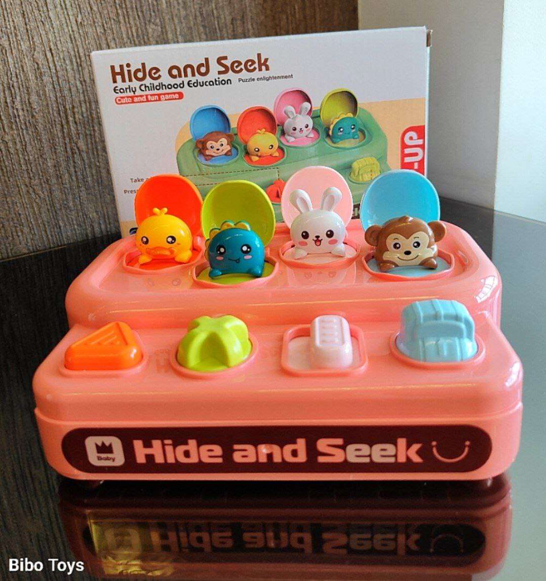 Hide and Seek