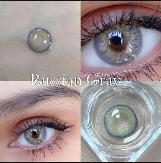 فريش ليدي روسيان جراي Russian grey