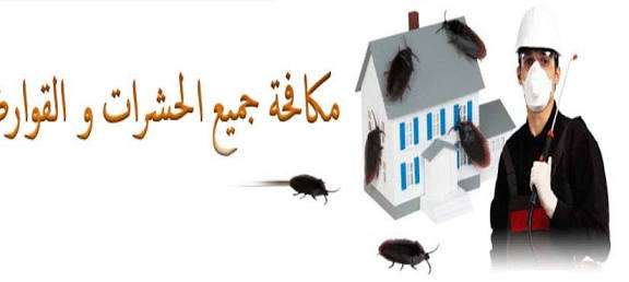 شركة مكافحة حشرات وقوارض مدينة نصر  01016501184