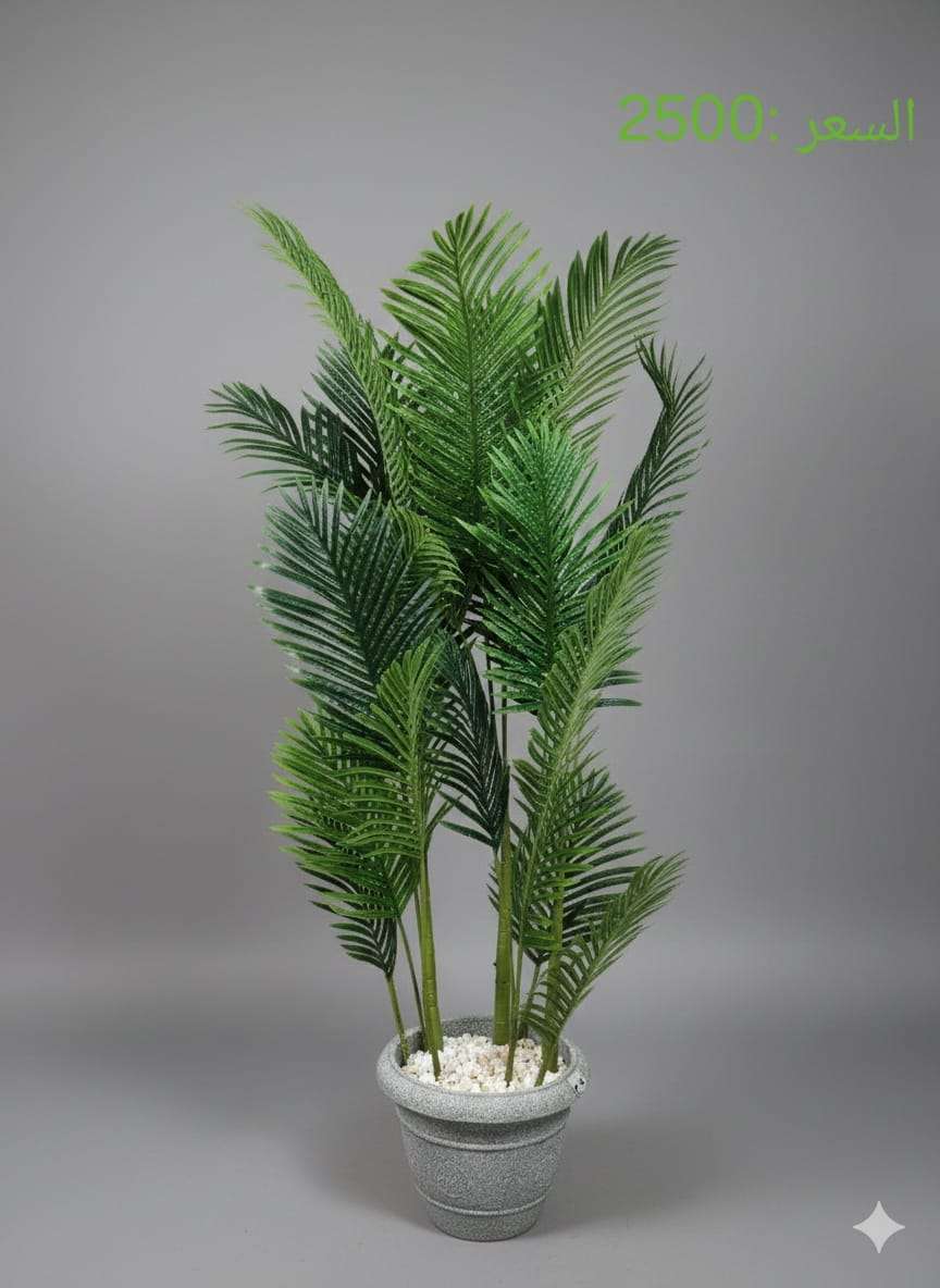 شجرة أريكا (Areca) أو سيكاس (Cycas) صناعي