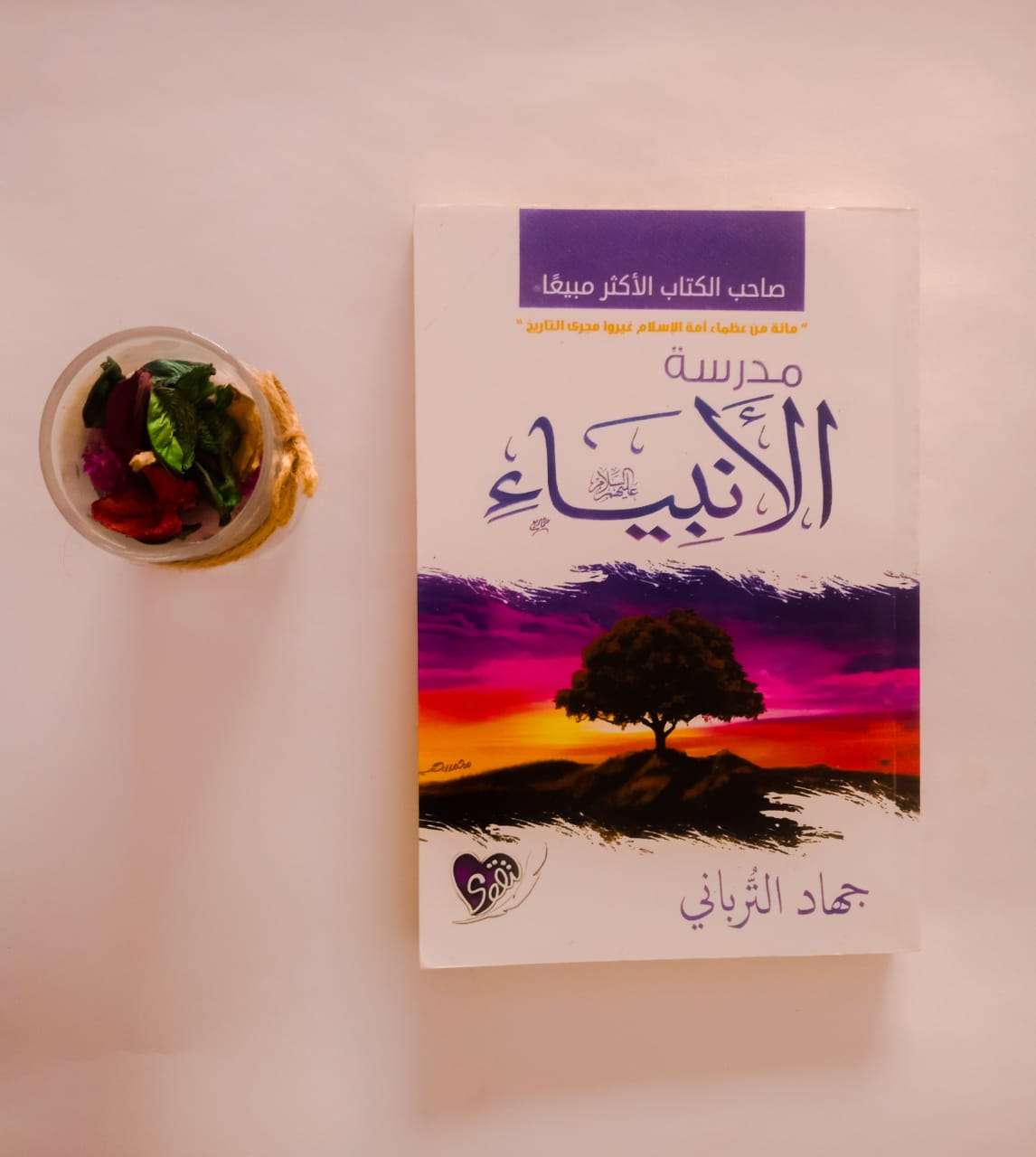 كتاب مدرسة الأنبياء