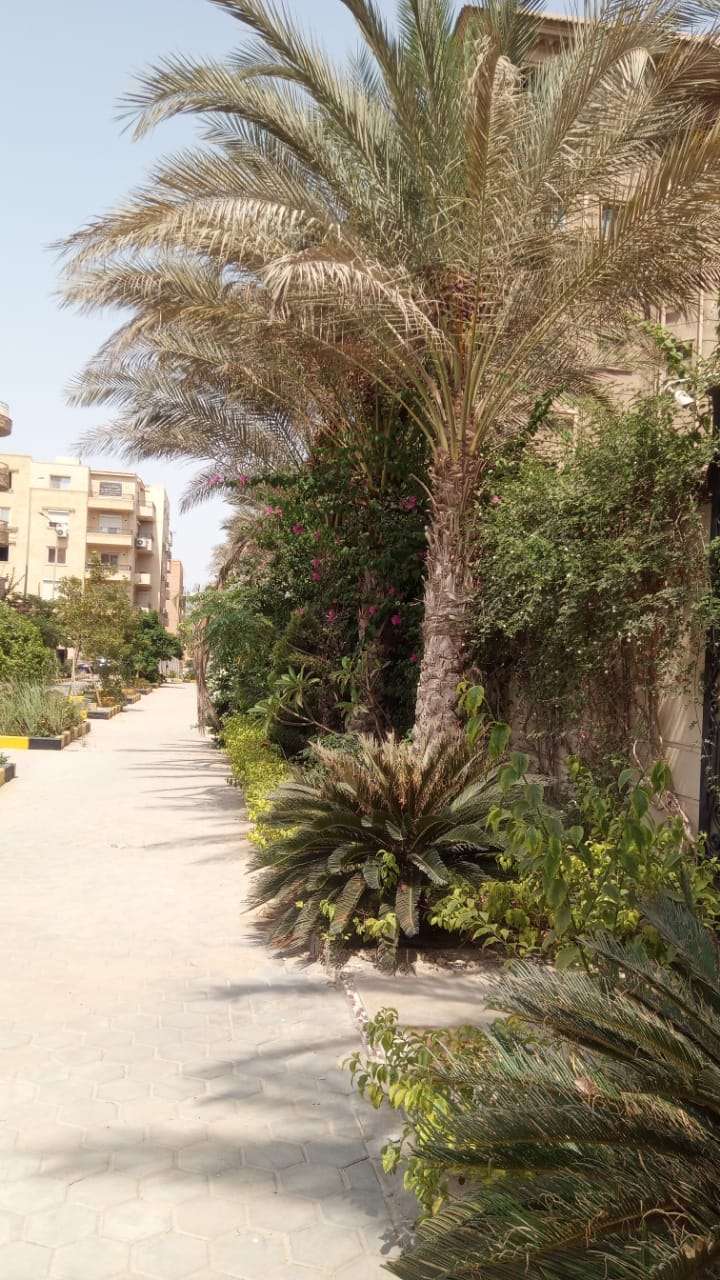 شقة للبيع مدينة ٦ أكتوبر القرية السياحية الرابعة