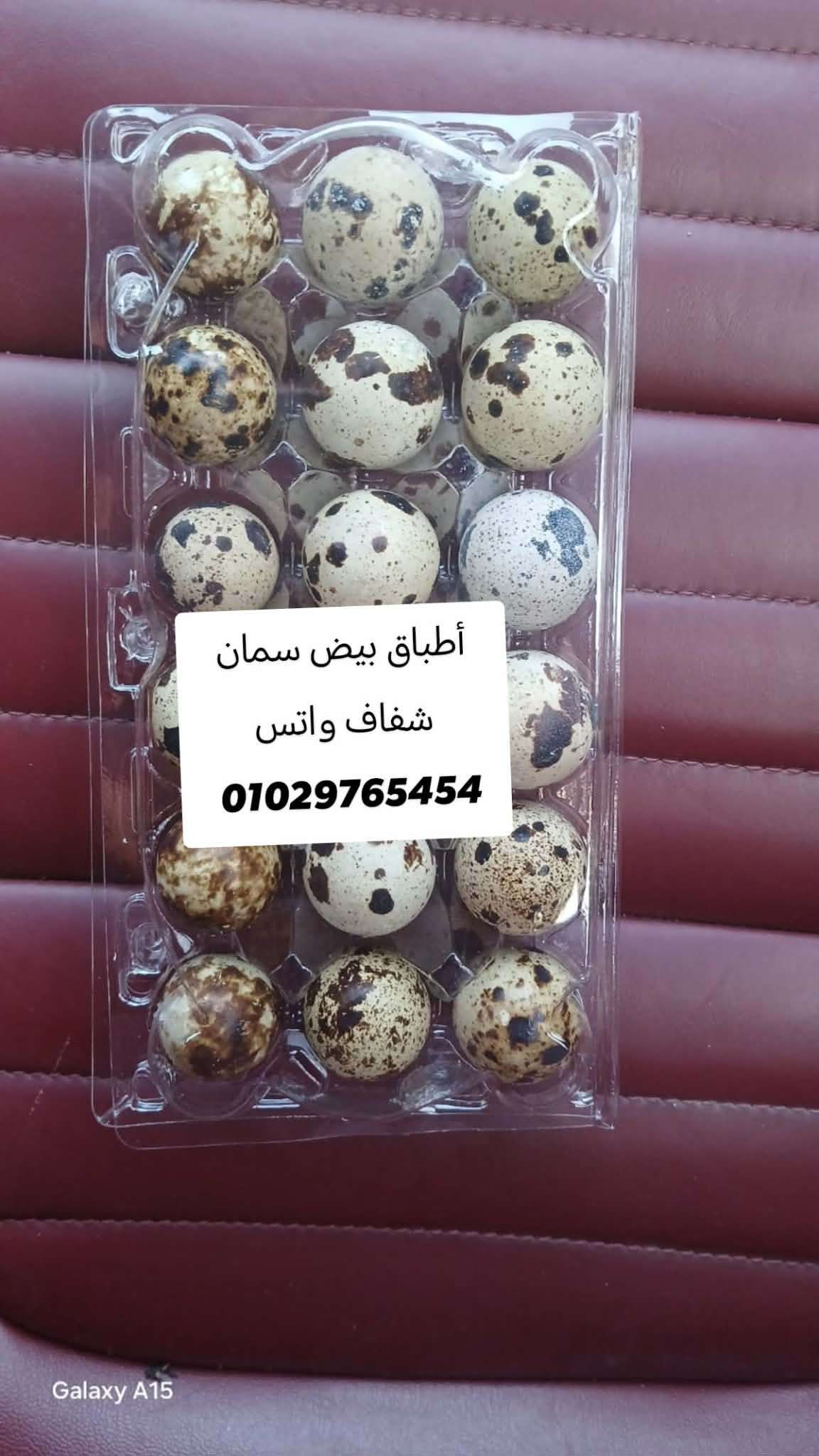 أطباق بيض سمان وفراخ شفاف والوان