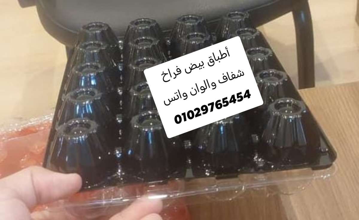 أطباق بيض سمان وفراخ شفاف والوان