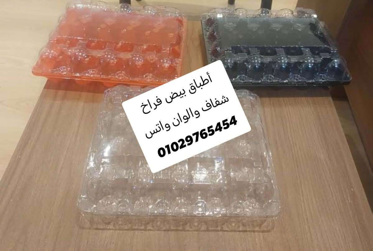 أطباق بيض سمان وفراخ شفاف والوان
