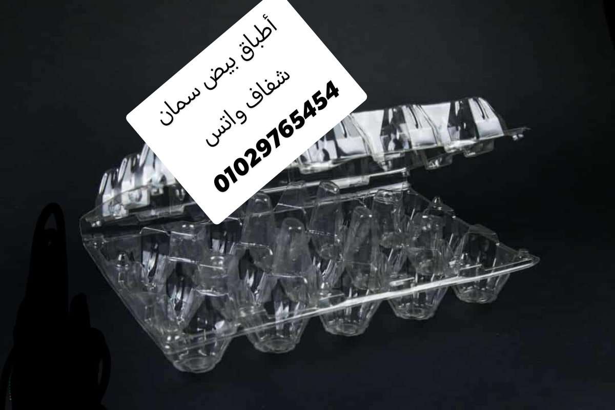 أطباق بيض سمان وفراخ شفاف والوان