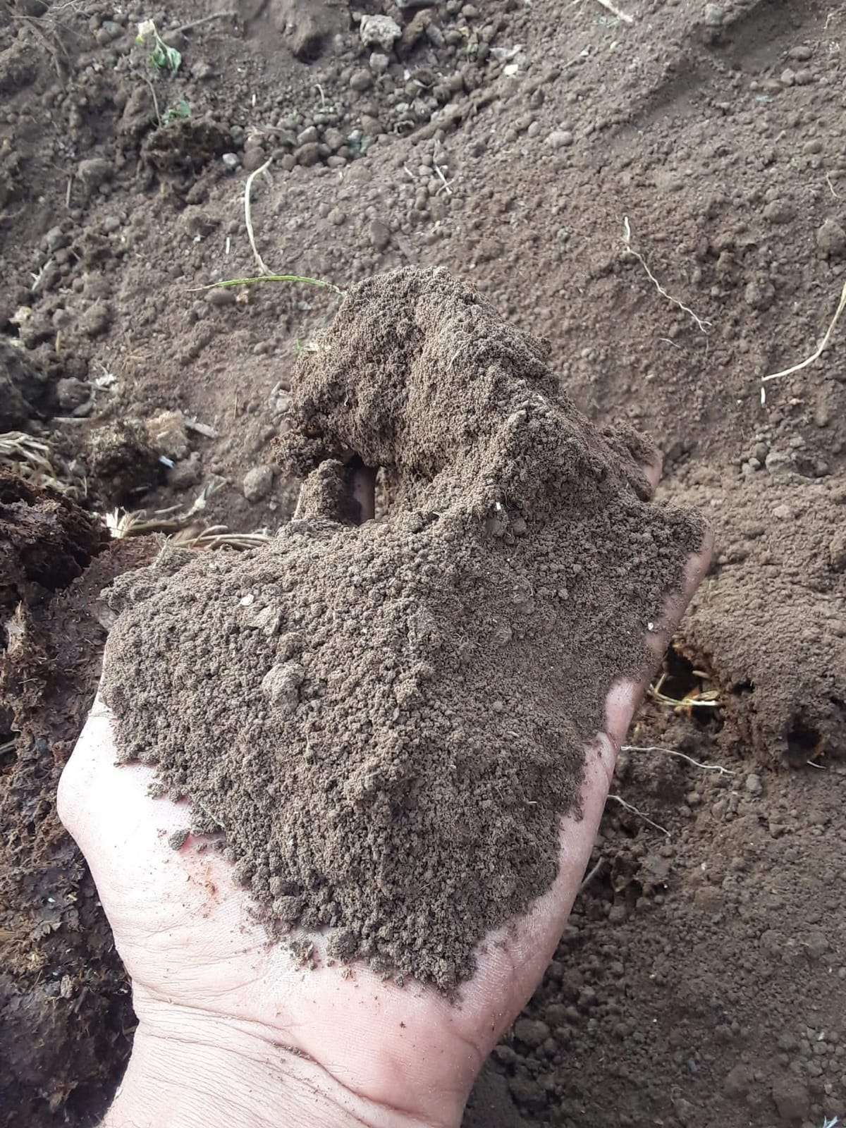 تربه زراعيه