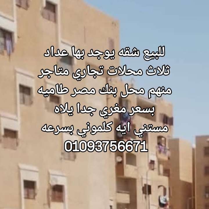 شقه