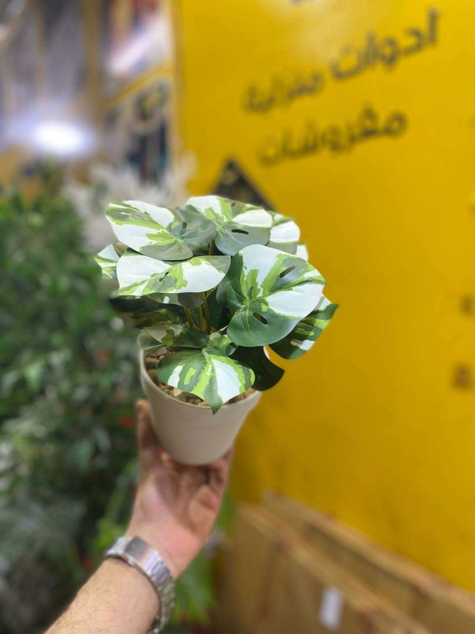 بوت ورد صناعي
