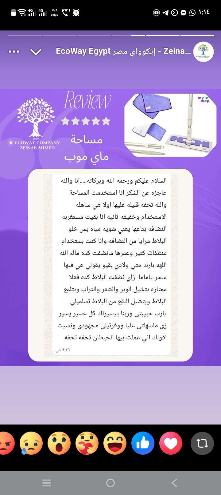 ماى موب