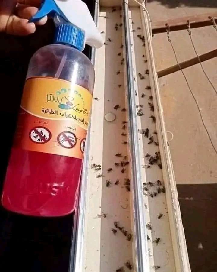 مبيد الذباب والهاموش والناموس