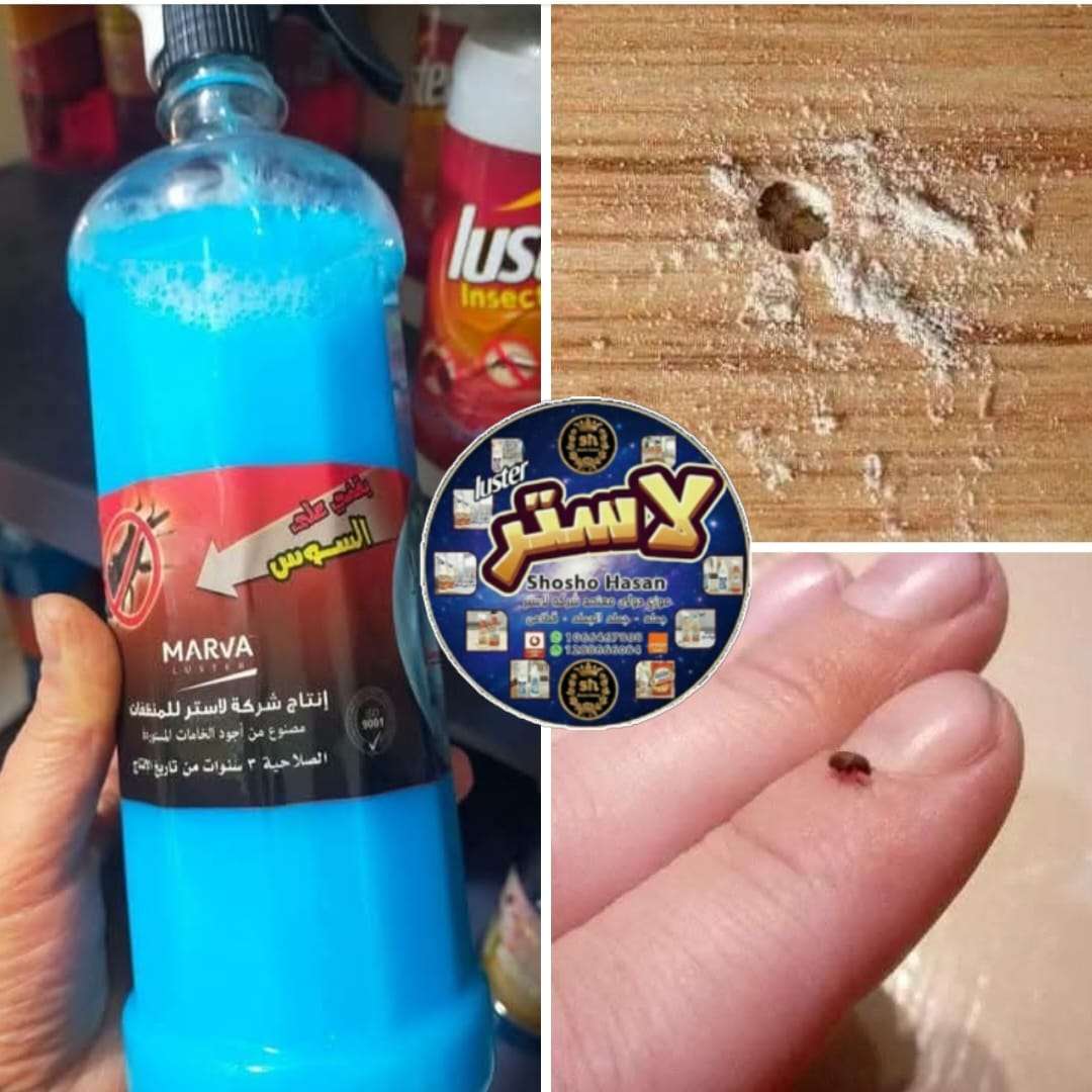مبيد السوس