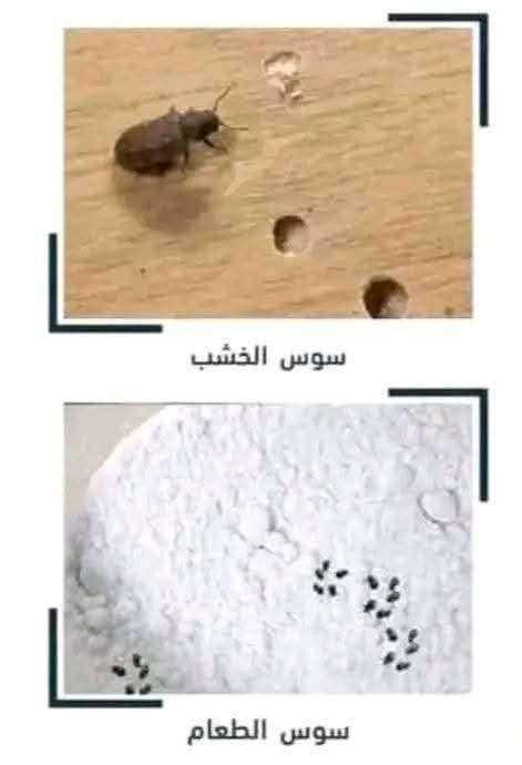 مبيد السوس