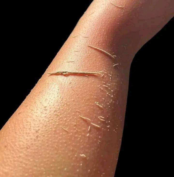 صابون مغربي