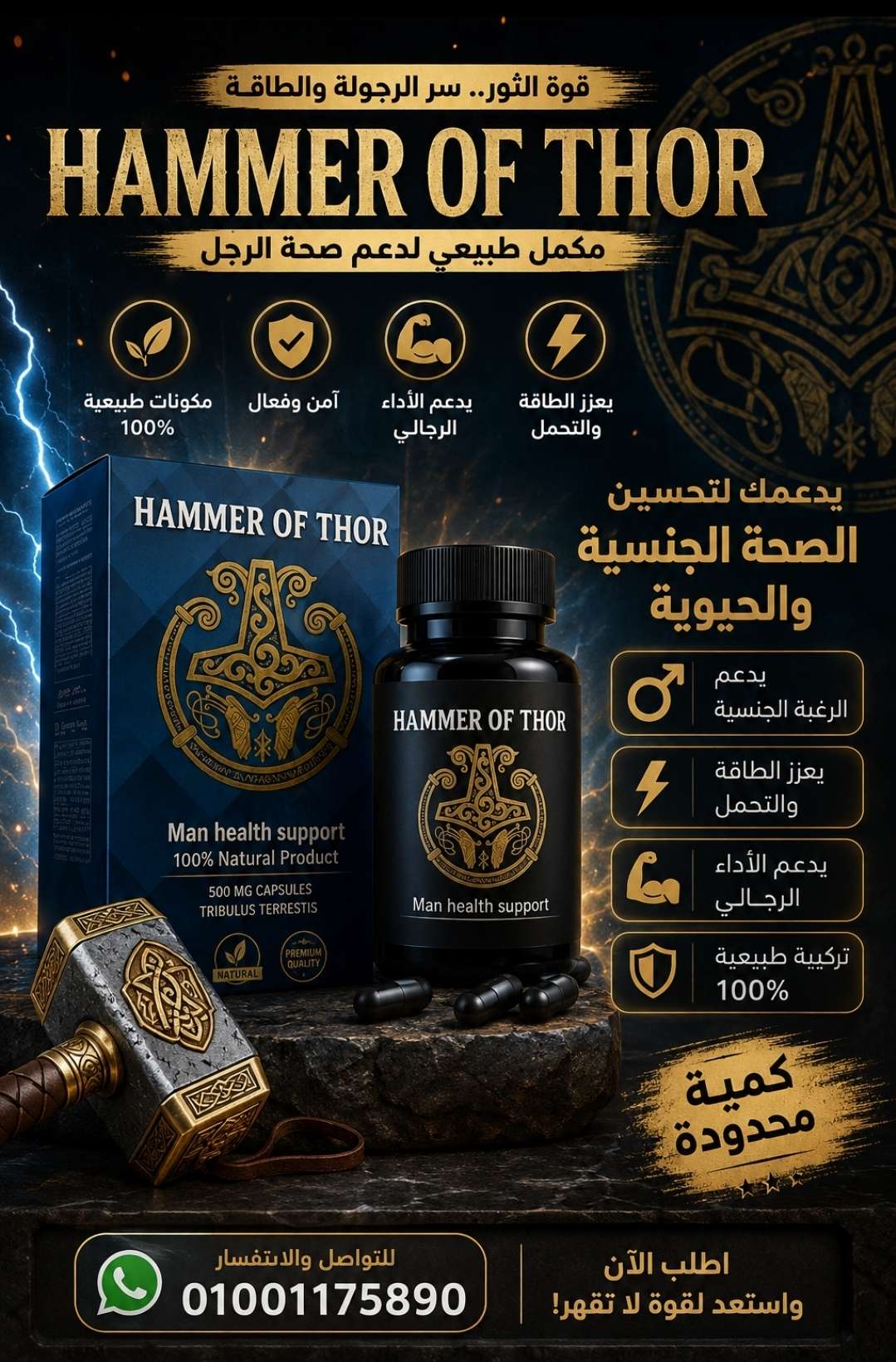 هامر أوف ثور كبسول