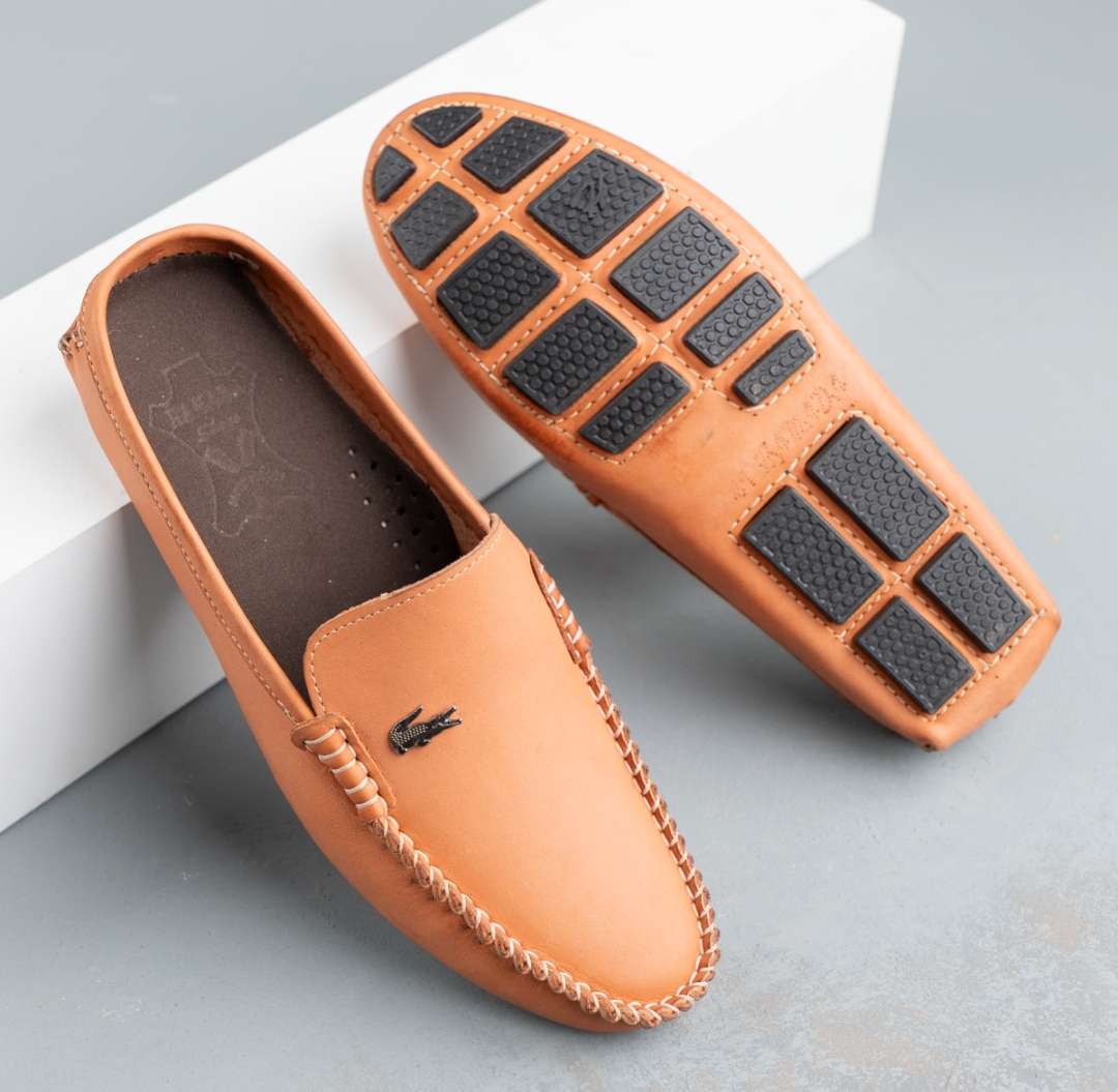 sapo lacoste