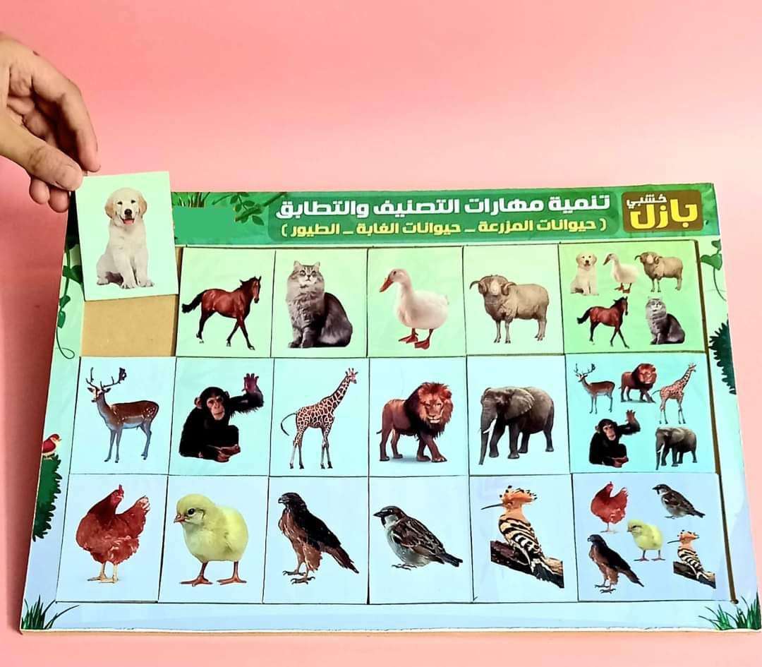 بازل تطابق وتصنيف