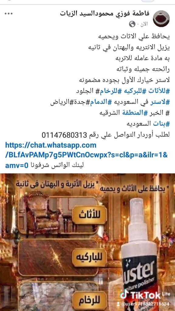 شركة لاستر العالميه المصريه السعوديه للتنظيف والعناية