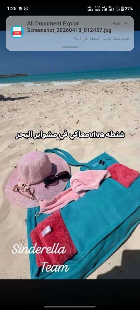 شنطه فيفا