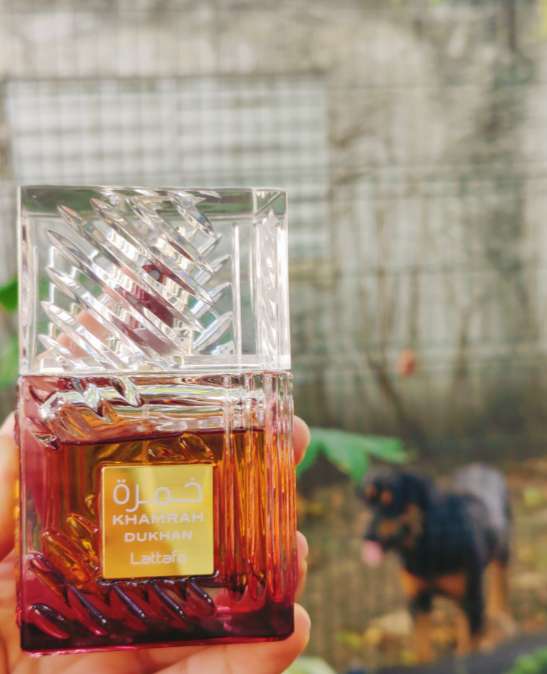 Khamrah Dukhan Lattafa Perfumes للرجال