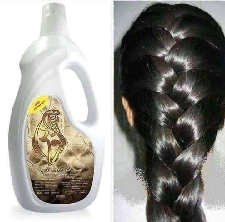 شامبو كوبرا