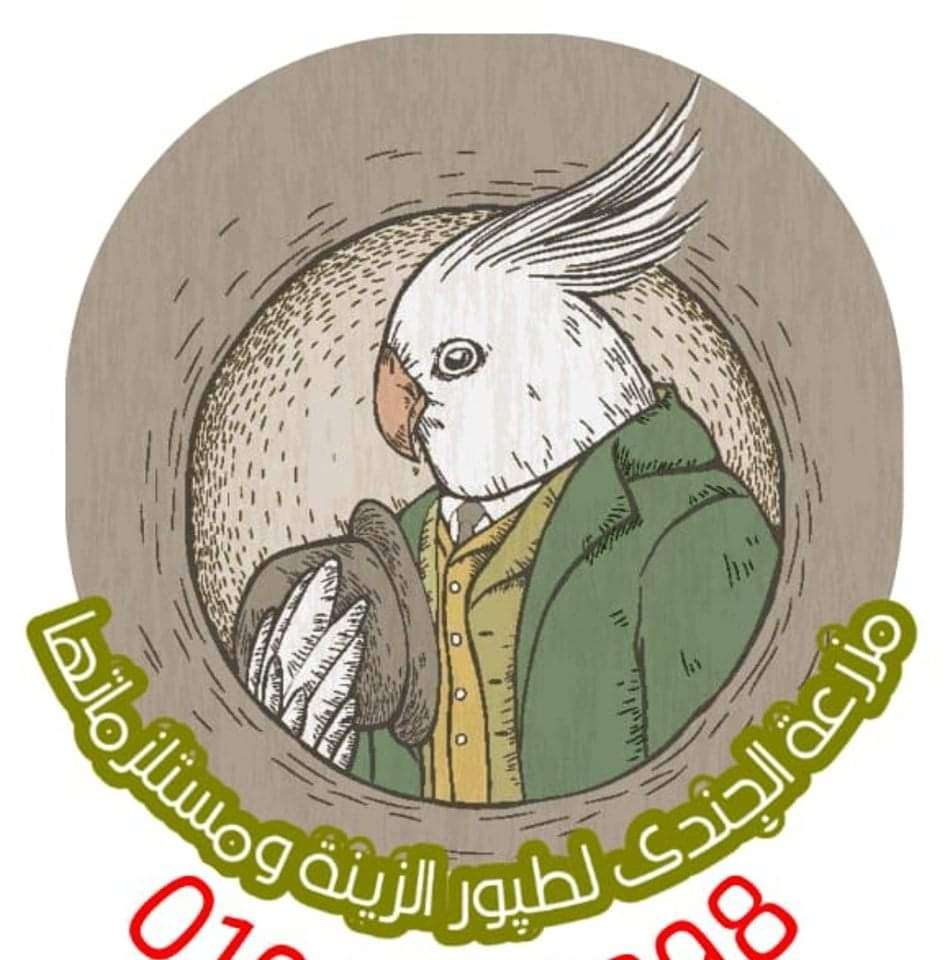 مزرعة الجندي لطيور الزينه ومستلزماتها