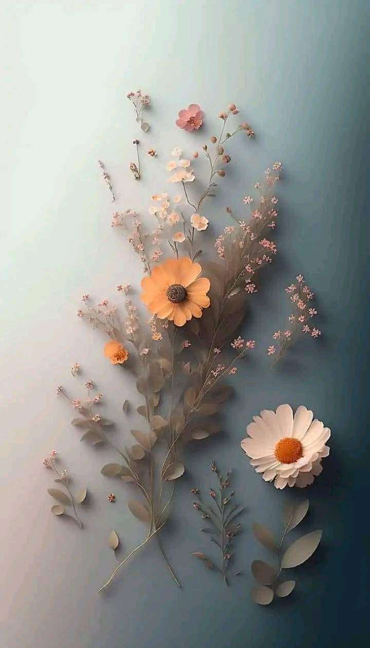 حاجات بنات
