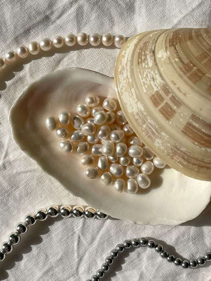 Dodo Handmade