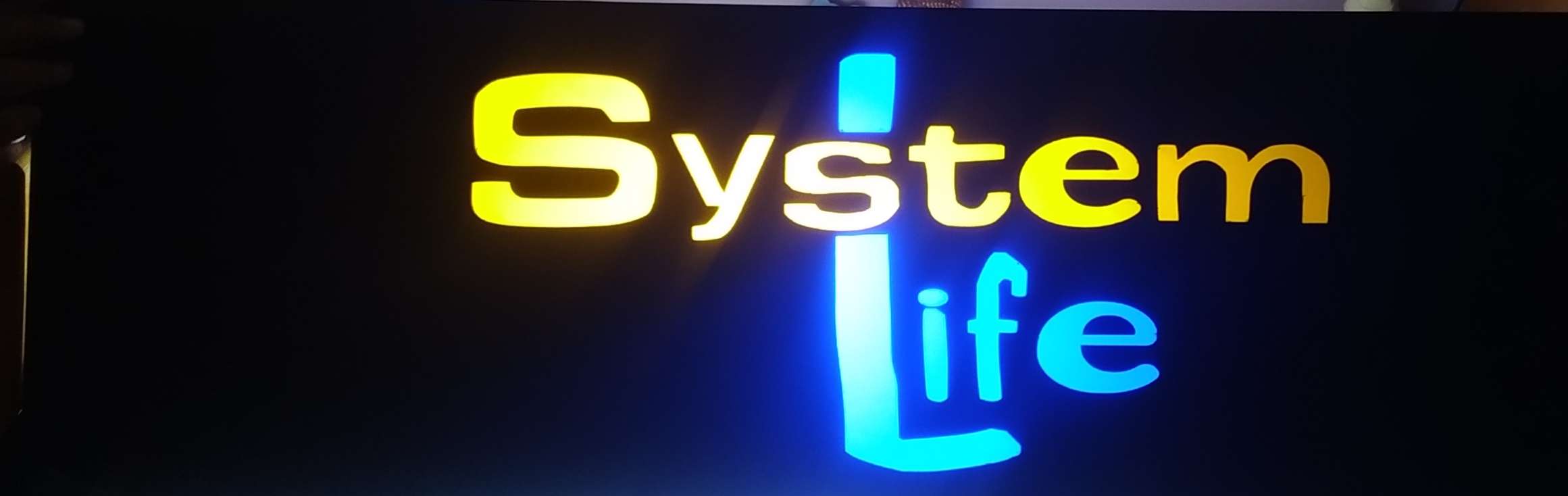 System Life