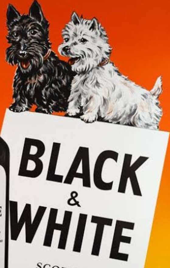 Black and White