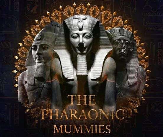 غزاوي اللكترونك كولكشن