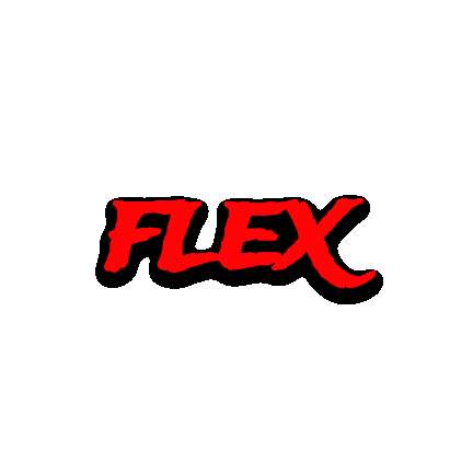 FLEX STORE
