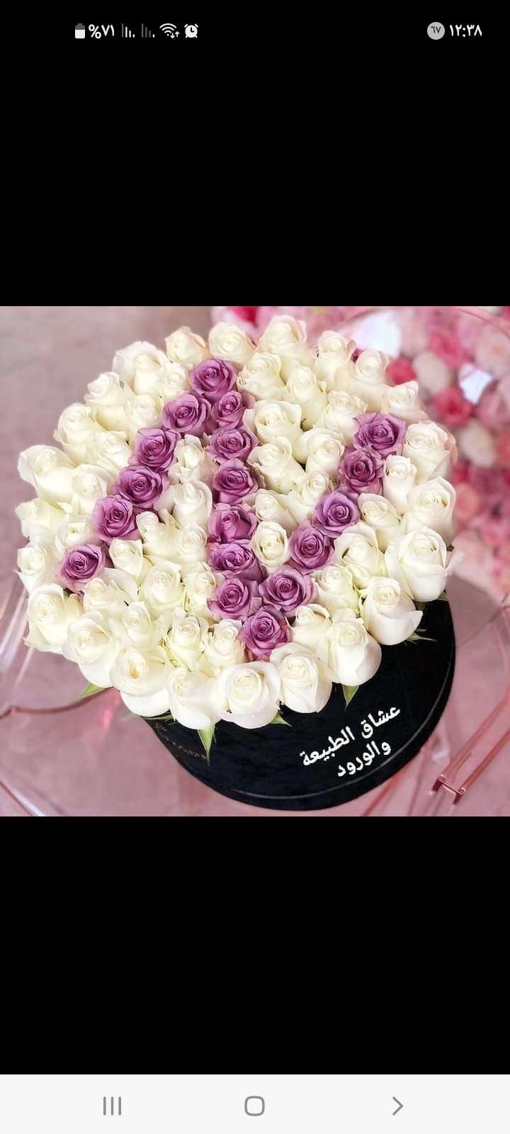 كرنفال
