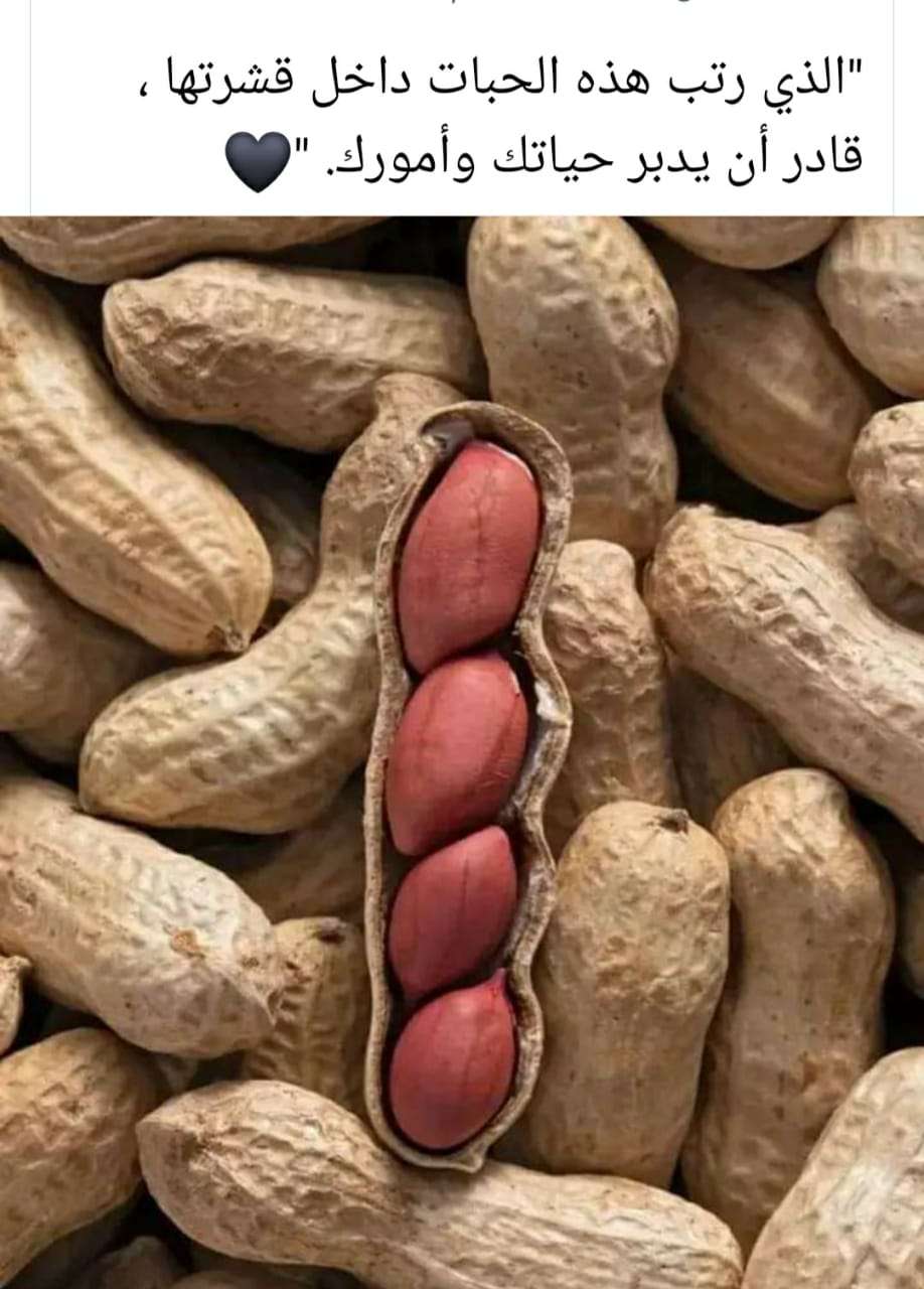 موكا ماركيتنج